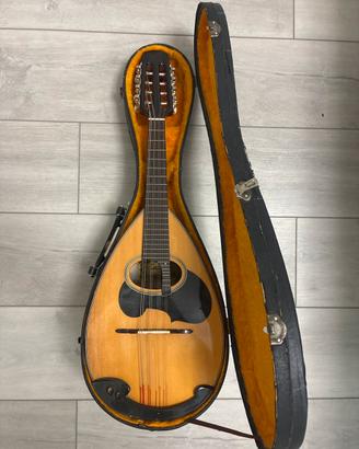 Mandolino Suzuki M30 con custodia rigida