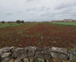 Terreno Galatone