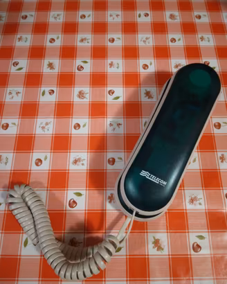 Telefono da parete