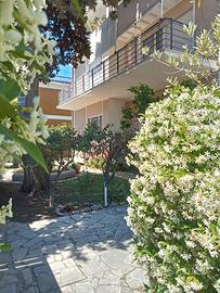 GIUGNO --16--31 LUGLIO in CENTRO 50mt dal MARE