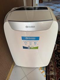 Climatizzatore portatile