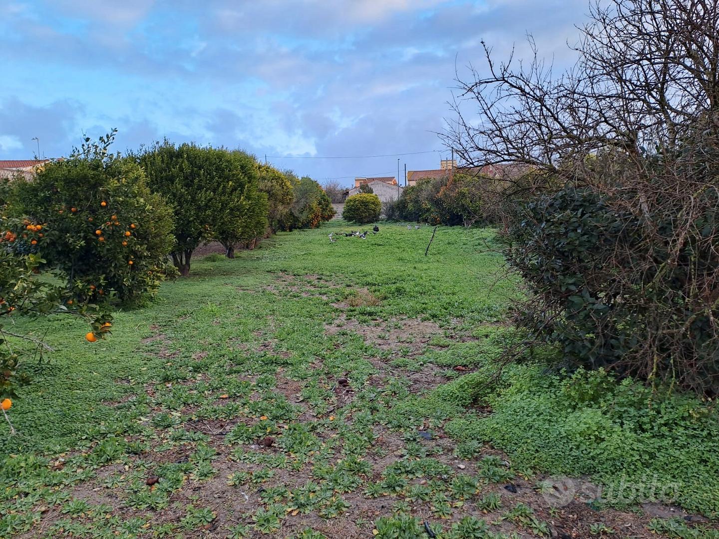 Terreno edificabile - Vista 4