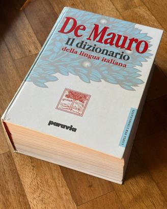 Vocabolario della lingua italiana De Mauro Paravia