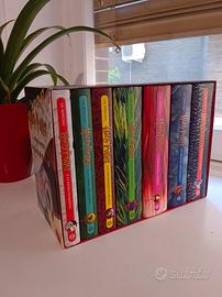 Cofanetto libri Harry Potter Nuova edizione Salani