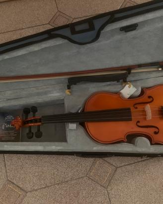 Violino