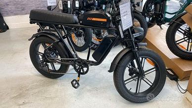 Engwe M1 doppia batteria bici pedalata assistita