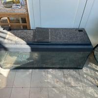 Acquario aqpet dolce 100 litri