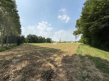 TER. AGRICOLO A SCORZÈ