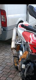 Terminali di scarico Aprilia Tuono 