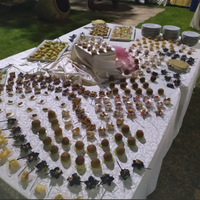 Cuoco, pizzaiolo, rosticciere, panificatore