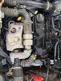 MOTORE FORD FIESTA 1.5 DIESEL SIGLA: XUJB ANNO:201