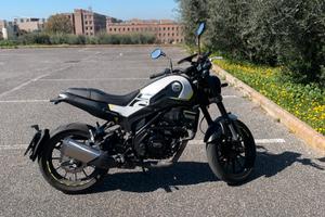 Benelli leoncino 250