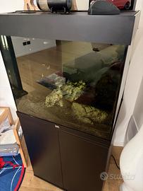 Acquario