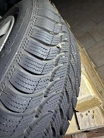 Cerchi in ferro per gruppo renault