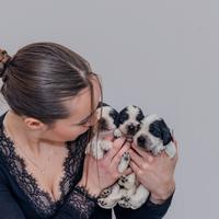 Cocker