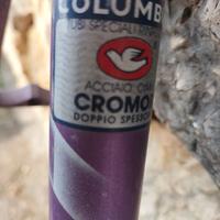Telaio e forcella zullo 