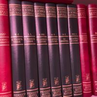 Enciclopedia