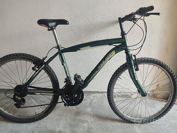 MOUNTAIN BIKE DA BAMBINO