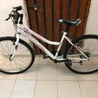 Bici mtb