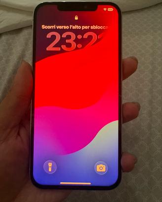 Iphone 12 pro max da 256 gb