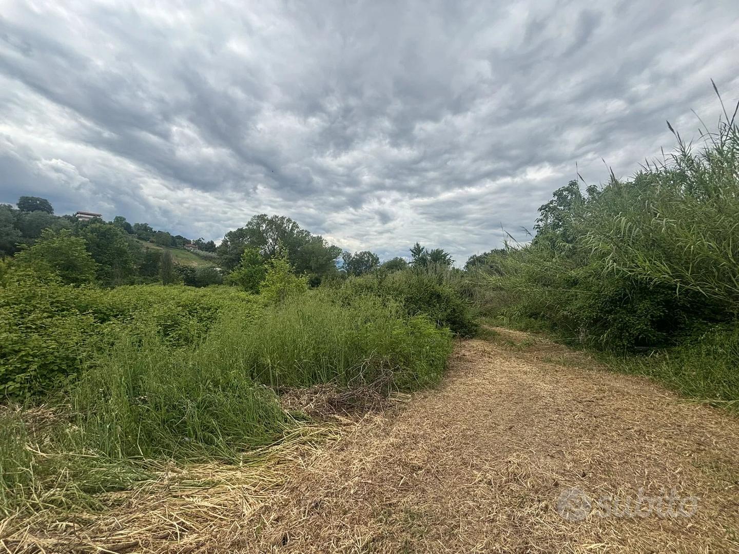 TERRENO AGRICOLO - Vista 6