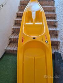 Canoa e pagaia