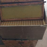 Gabbiette per blocco covata in lamiera APICOLTURA