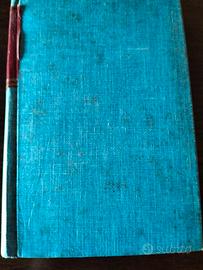 Edmondo De Amicis - Il romanzo d'un maestro