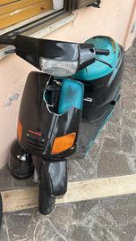 Zip fast rider prima serie