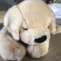 Peluche porta pigiama cane mascotte Scottex