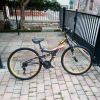 bicicletta 