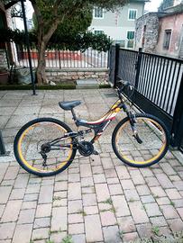 bicicletta 