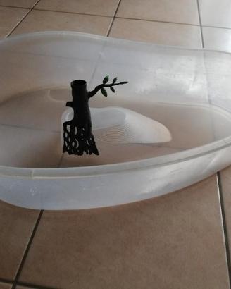 Vasca per tartarughe