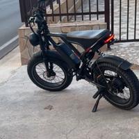 Bicicletta elettrica