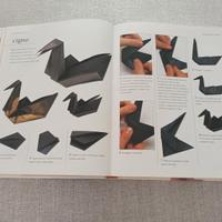 libro origami