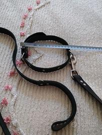 Lettino Ciotole Copertina Collare Guinzaglio