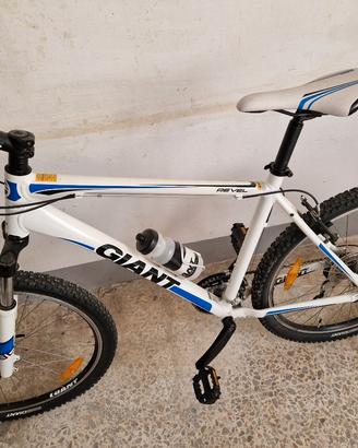 Bicicletta giant