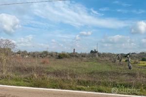 Terreno in agro di Gallipoli, contrada Feo