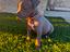 Immagine 6