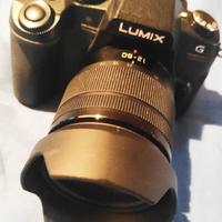 Camera Panasonic Lumix DMC-G80M con zoom 12-60