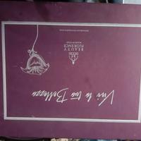 dispositivo di bellezza Ionoforesi Beauty Florence