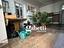 Immagine 15