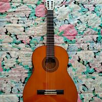 Chitarra amplificata Yamaha G-230