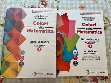 Libro scuola Colori della matematica 1