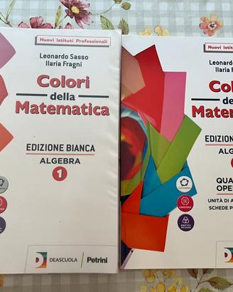 Libro scuola Colori della matematica 1