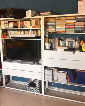 SCAFFALI IKEA FJALKINGE