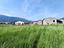 Immagine 10