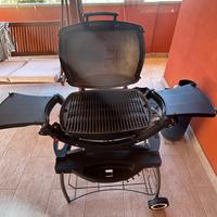 Barbecue Weber Q 100N  a gas