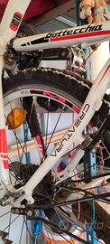 montanbike marca Bottecchia 530 creatura. 