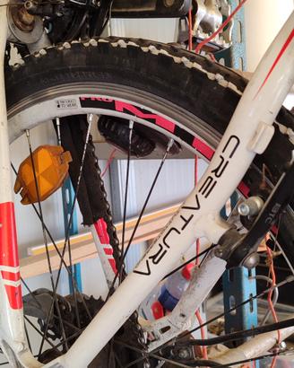 montanbike marca Bottecchia 530 creatura. 